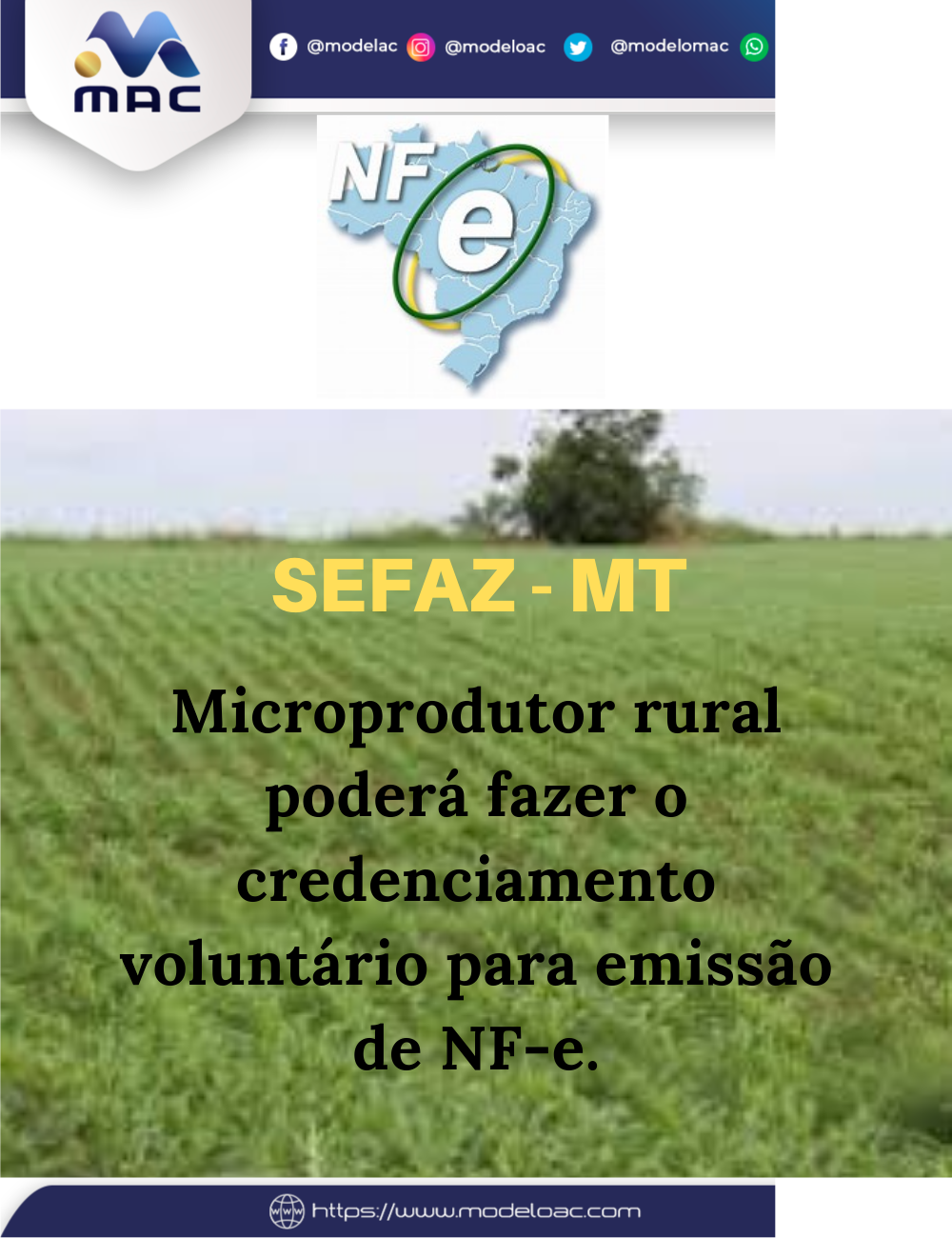 NF-e microprodutor