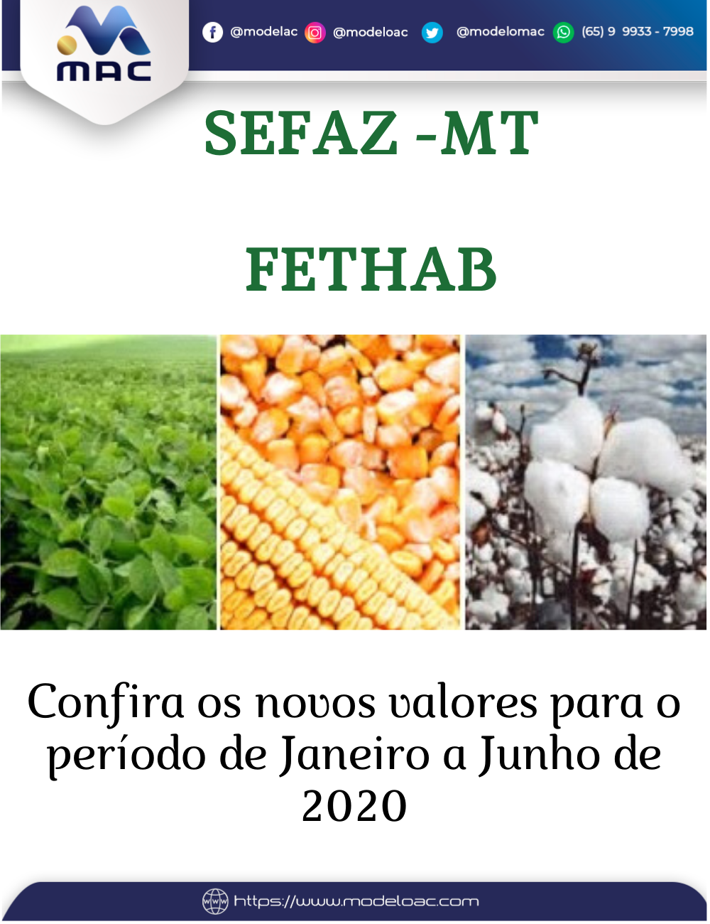 FETHAB 01 2020